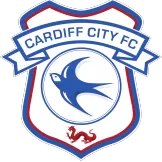 Cardiff City - jerseymallpro