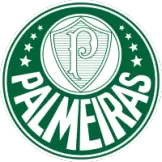 SE Palmeiras - jerseymallpro