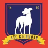 AFC Richmond - jerseymallpro