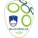 Slovenia - jerseymallpro