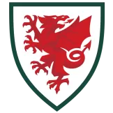Wales - jerseymallpro