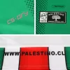 Replica CD Palestino Home Jersey 2022/23 By Capelli - jerseymallpro