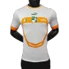 Côte d'Ivoire Away Authentic Jersey 2022 - jerseymallpro