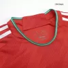 Wales Home Jersey Shirt World Cup 2022 - jerseymallpro