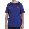 Replica Netherlands Away Jersey World Cup 2022 By Nike - jerseymallpro