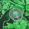 Nigeria Home Jersey 2022 - jerseymallpro