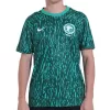 Saudi Arabia Away Jersey World Cup 2022 - jerseymallpro